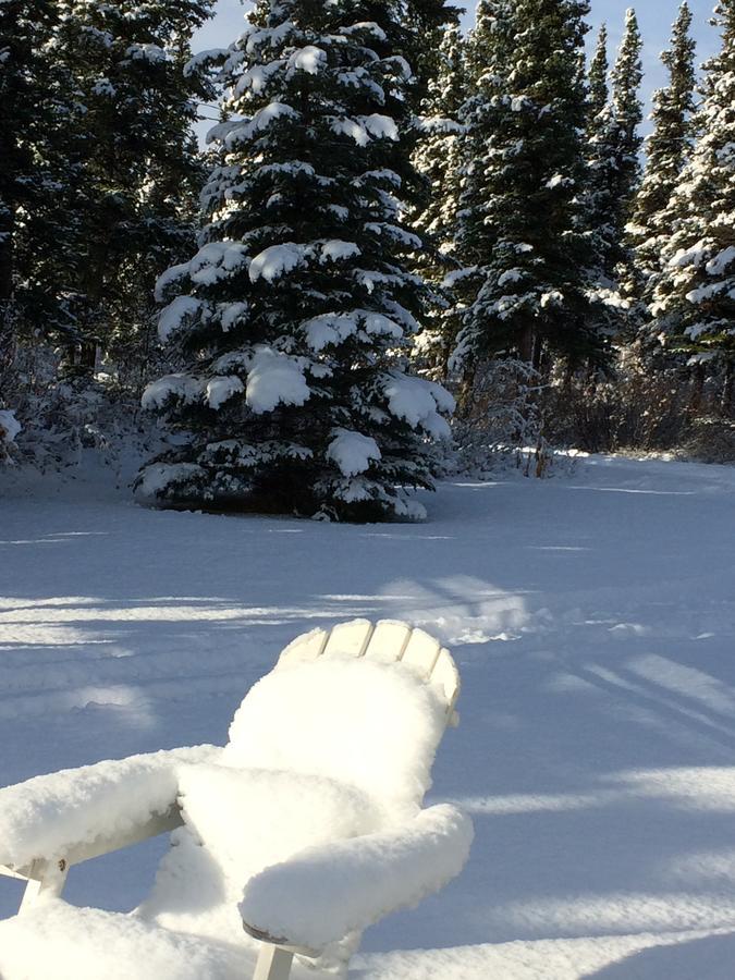 Denali Primrose Bed & Breakfast ฮีลี ภายนอก รูปภาพ