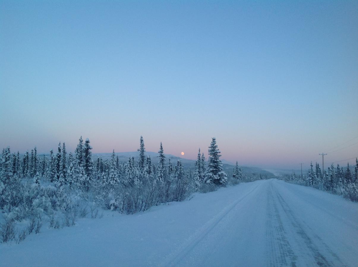 Denali Primrose Bed & Breakfast ฮีลี ภายนอก รูปภาพ