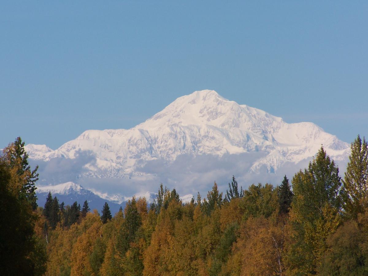 Denali Primrose Bed & Breakfast ฮีลี ภายนอก รูปภาพ