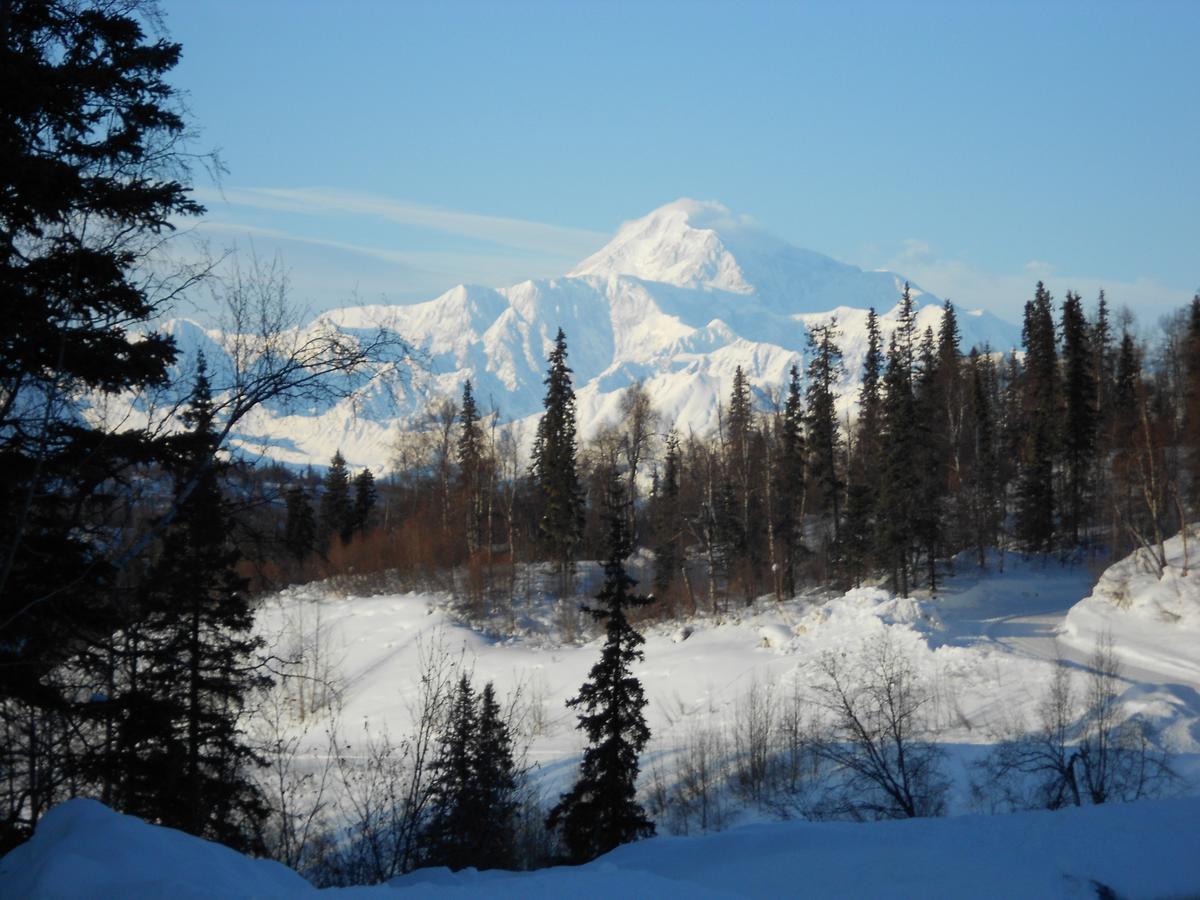 Denali Primrose Bed & Breakfast ฮีลี ภายนอก รูปภาพ