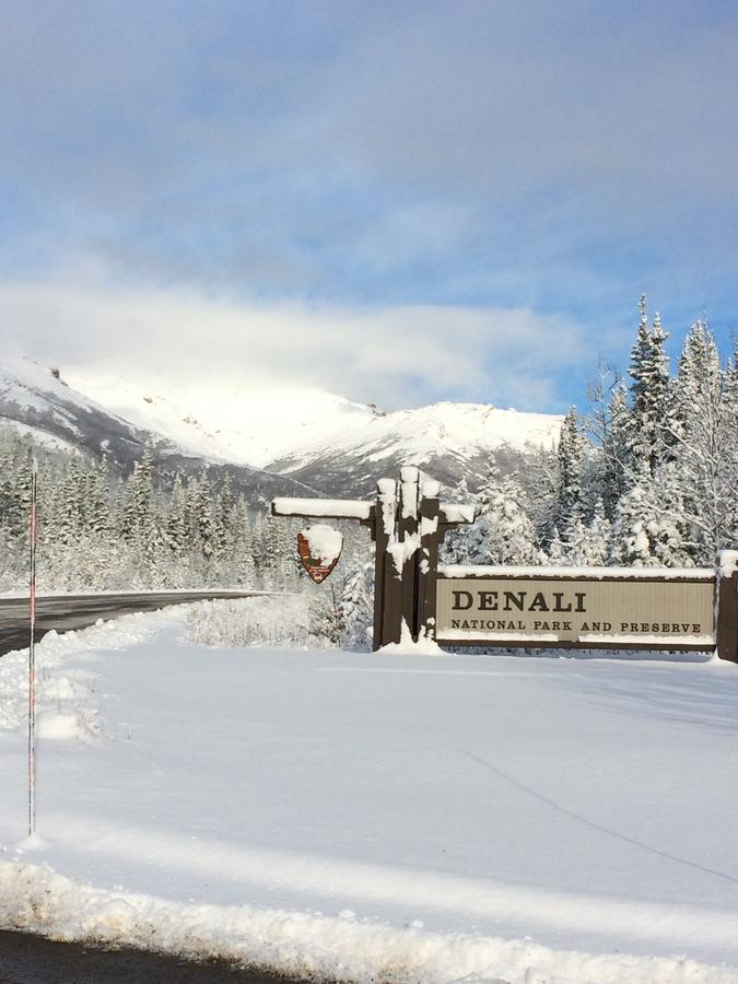 Denali Primrose Bed & Breakfast ฮีลี ภายนอก รูปภาพ