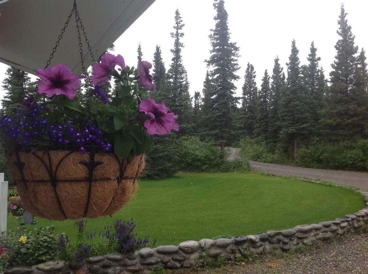 Denali Primrose Bed & Breakfast ฮีลี ภายนอก รูปภาพ