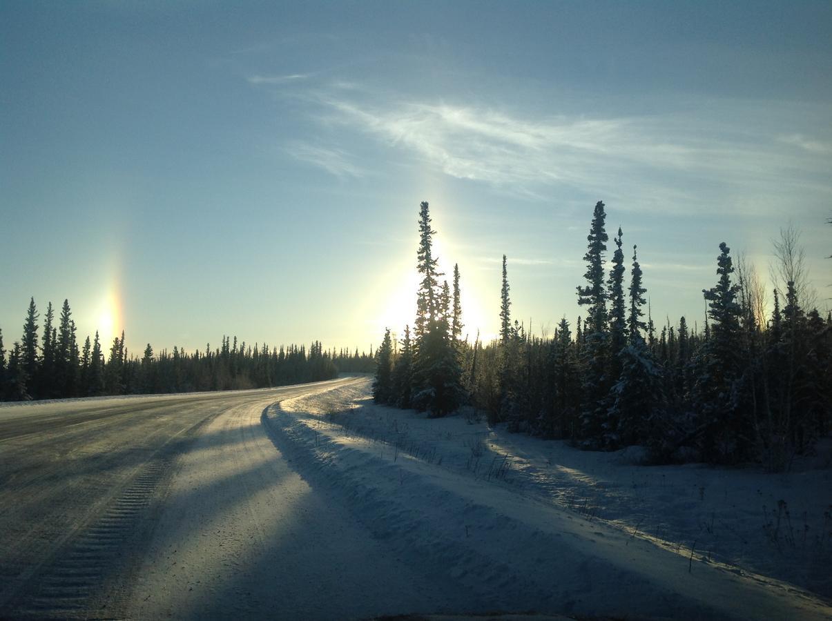 Denali Primrose Bed & Breakfast ฮีลี ภายนอก รูปภาพ