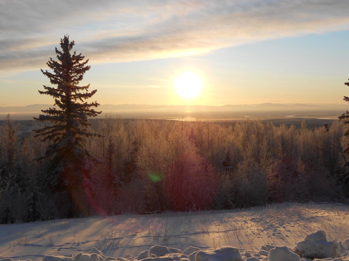 Denali Primrose Bed & Breakfast ฮีลี ภายนอก รูปภาพ