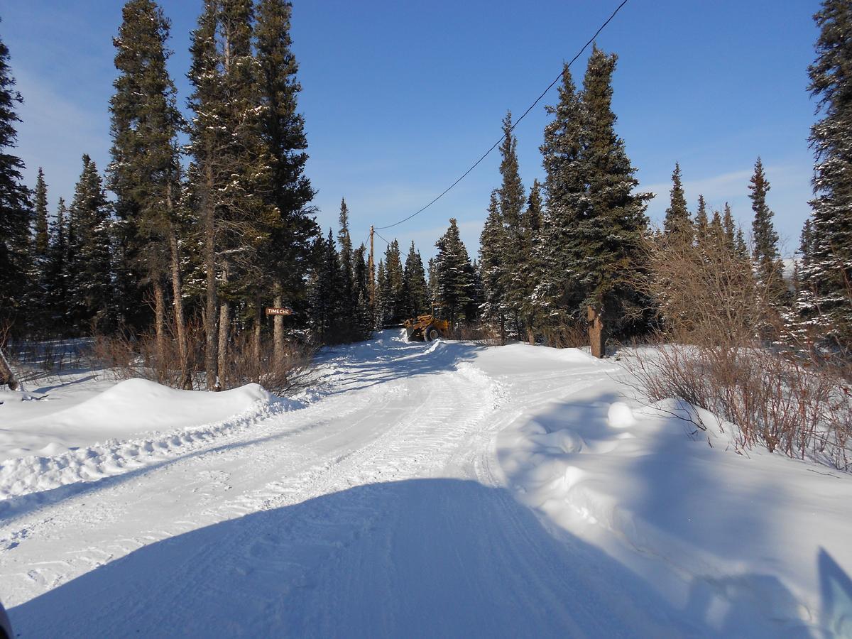 Denali Primrose Bed & Breakfast ฮีลี ภายนอก รูปภาพ